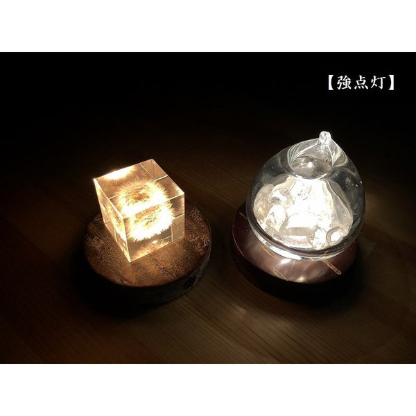 Japanese sakura cherry bark round light display base(2200K)