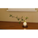 Japanese sakura cherry bark round light display base(2200K)