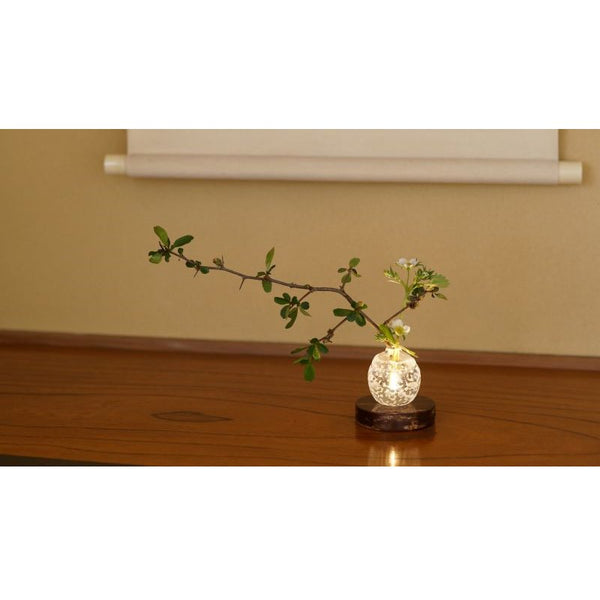 Japanese sakura cherry bark round light display base(3000K)